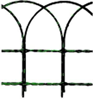 Miglior piante da giardino ornamentali