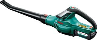 Miglior soffiatore elettrico bosch