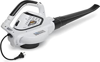 Miglior soffiatore elettrico professionale