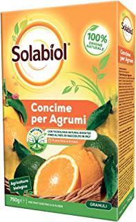 Miglior terriccio biologico