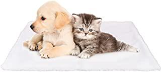 Miglior tappetini riscaldanti per cani