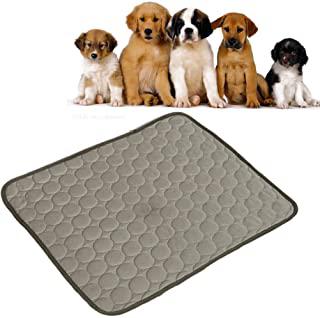 Miglior tappetino refrigerante per cani