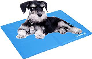 Miglior tappeto refrigerante cani